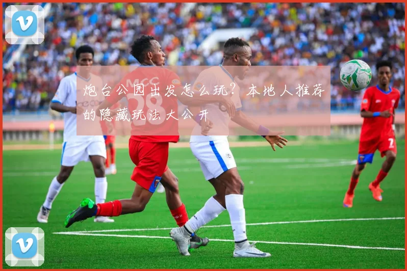 炮台公园出发怎么玩？本地人推荐的隐藏玩法大公开